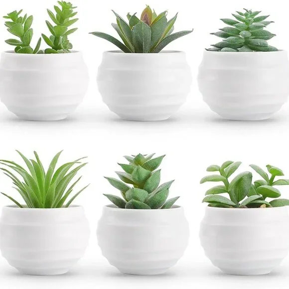 NEW Set of 6 Succulents Plants Artificial in Pots Small Fake Plants. - Picture 3 of 9